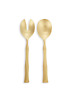 2ps-1279b-05 Fortessa Serving Set Brushed Gold New