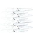 30100004190000 Zwilling J Henckels J.a 035886189877