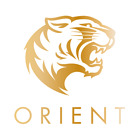 5060535840156 Orient Knives Whetstone