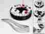 70113 Magisso Brand New Stainless Steel Cake Server Slicer