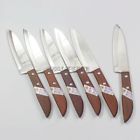 Az595a11da466d7-us Imported Thai Kitchen Steak Knives Stainless Steel Kiwi 801684450651