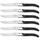 B00jnrneko Flying Colors Steak Knife 6918466567132
