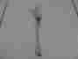 Re-105 Update International Dinner Fork Used 755576008768