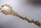 Su22gs Sea Silver Michaud Michael Server Pasta Seasons Coral