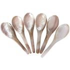 Sh0022 Set Specialty Spoons Of 8934959000182