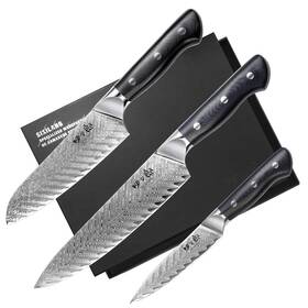 Sxdc-984 Sixilang Knife Set 3 Pcs Professional Damascus Chef Knives 67 Layer Japanese Aus10 S