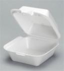 10020648112252 Sn225 Gnp Foam Hinged Sandwich Container White Bag