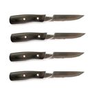 Sr8116 Steven Raichlen Best Of 050016781165