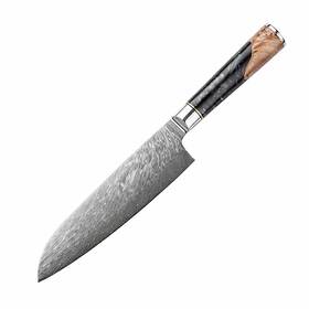 Vg10 The Epicurean Cook 632793500827 8 Inch Damascus Kitchen Japanese Chef Knife High Carbon S