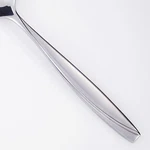 Oneida Camlynn Stainless Frosted Handle & Glossy Silverware Flatware Choice. Fixed Price $7.80.