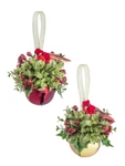 Set Of 2 Kissing Krystals Cardinal Sleigh Bell Mistletoe Ornaments, By Ganz. Fixed Price $24.99.