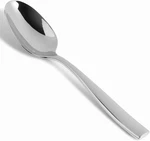 Lucca 18/10 Stainless Steel Flatware Serving Spoon 9.7-INCH. Fixed Price $31.38.
