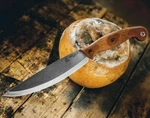 Tops Earth Skills Fixed Knife 8.25" 1095HC Steel Full Tang Blade Micarta Handle. Fixed Price $197.69.