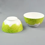 Laurie Gates Set Of 2 Cereal Salad Melamine Bowls Green Floral Indoor Outdoor. Fixed Price $14.00.