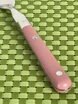 Washington Forge Mardi Gras Mauve Pink Stainless Wf Korea Flatware B117WU. Fixed Price $7.84.