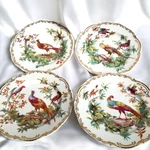 Andrea By Sadek - Exotic Birds 8 1/4" Salad Plate Set Of Smithsonian. Fixed Price $120.00.