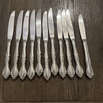 Set Of 10 Ten Oneida Stainless Cantata Dinner Knives 9" Community Flatware. Fixed Price $15.55.