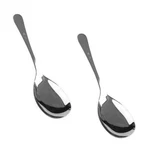 (set Of 2) 10 Inch Stainless Steel Buffet Serving Spoon. Fixed Price $10.35.