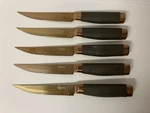 Hampton Forge Skandia Iso 8442-1 Set Of 5 Steak Knives Titanium Enforced. Fixed Price $10.00.