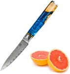 Paring Knife - 3.5 Inch Damascus VG10 Stainless Steel Classical Pattern Handle. Fixed Price $49.95.