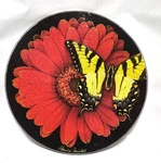 Harold Feinstein 8" Glass Cutting Board / Trivet Flower-butterfly Design. Fixed Price $12.49.