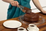 Magisso Cake Server Authentic. Fixed Price $28.47.