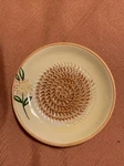 The Grater Plater By Smart Inventions - 5" With Raised Grating Teeth A1 Box. Fixed Price $6.50.