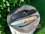 Joker Aguila Bushcraft Knife 4.13 Mova Blade Olive Wood Handle Leather Sheath. Fixed Price $79.30.