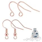 Rose Gold 925 Sterling Silver Earring Hooks Hypoallergenic 100PCS Wires F.... Fixed Price $13.68.