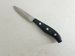 Hampton Forge Stainless Paring Knife Hollow Ground Blade 3-IN. Fixed Price $15.14.