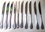 Mikasa Bravo Premium High Carbon 10PC Steak Knife Set. Fixed Price $19.99.
