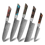 Shinko 5-PIECE Damascus Knife Set 110-LAYER Steel. Fixed Price $849.00.