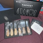 Icosa Living - Harvest Complete 6PC Teakwood Cheese Knife Set. Fixed Price $19.99.