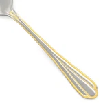 Hampton Silversmiths HSV209 Stainless Beaded Gold Accent Outline Choice Flatware. Fixed Price $13.89.