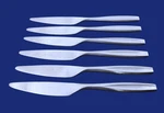 Gourmet Setting Beam STAINLESS18/10 Satin - Of 6 Solid Dinner Knives 9 1/4". Fixed Price $21.99.