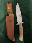 Bison Bial Knife, Stainless Steel Blade, Exotic Wood,bulgarian Made.. Fixed Price $12.00.