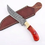 Usa Sword & Blade Armory Damascus Steel Knife Custom Skinner Bone Handle Brass. Fixed Price $33.47.