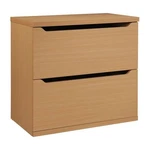 Denmark 2-DRAWER Engineered Wood Lateral File With Lockdowel Natural Finish. Fixed Price $243.99.