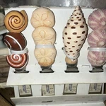 Set Of 4 Appetizer/cheese Spreaders Handles Shaped Like Shells/sea Urchinnwt. Fixed Price $24.99.