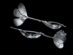 Michael Aram Tulip Salad Serving Fork & Spoon Set. Fixed Price $65.00.