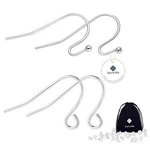 Sterling Silver Earring Hooks Hypoallergenic 100PCS Ball Dot Wires + Fish.... Fixed Price $17.61.