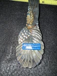 International Company Silverplated Turkey Design Serving Spoon 11 Box. Fixed Price $14.96.