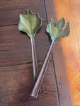 Michael Aram Rhubarb Salad Servers Set 14 Botanical Leaf Stalk Handle. Fixed Price $99.00.