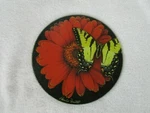 Harold Feinstein Signature Collection Glass Cutting Board Butterfly Design Nice!. Fixed Price $12.88.