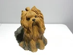 Sandicast Yorkshire Terrier Dog Sculpture J540 Sitting Yorkie Sandra Brue. Fixed Price $54.99.