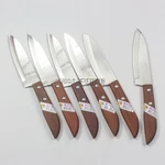 Thai Kitchen Steak Knives Stainless Steel 503 6 Pcs Per Set. Fixed Price $35.11.