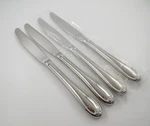 Lenox Butterfly Meadow 4 Dinner Knives Glossy 18/8 Stainless Steel Flatware. Fixed Price $39.00.