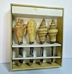 Boston Warehouse Seashell Spreaders Set Of 4 (1993) Hand-painted Handles. Fixed Price $18.20.