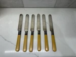 Victorian Sterling Bone/horn Handles Set Of 6, C. Late 1800S. Fixed Price $209.99.