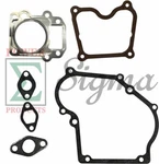 Repair Gasket Kit For Buffalo Tools Sportsman GEN1100 GEN154 GEN2000 Generator. Fixed Price $16.99.